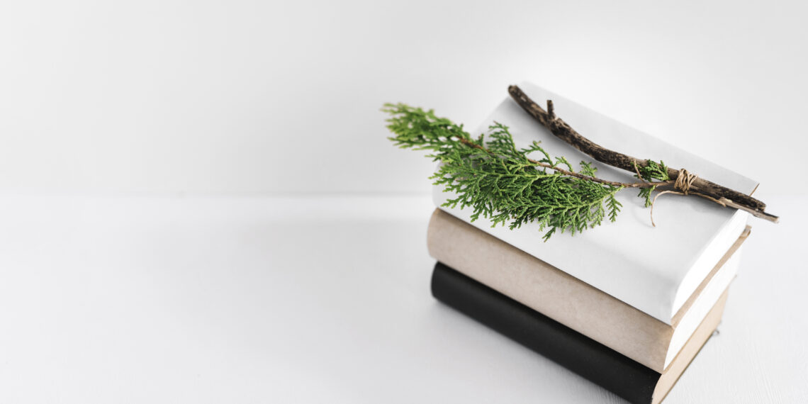 ฝึกศัพท์ภาษาอังกฤษวันละ 10 คำที่ใช้ในชีวิตประจำวัน