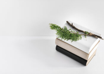 ฝึกศัพท์ภาษาอังกฤษวันละ 10 คำที่ใช้ในชีวิตประจำวัน